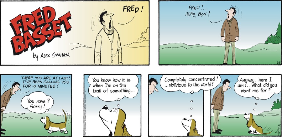 Fred Basset by Alex Graham on Sun, 08 Jun 2025