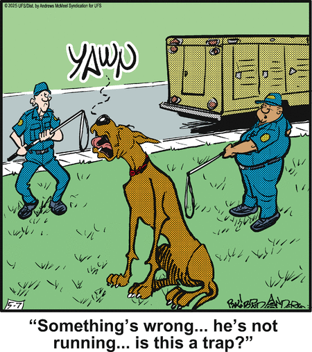 Marmaduke by Brad Anderson on Wed, 07 May 2025