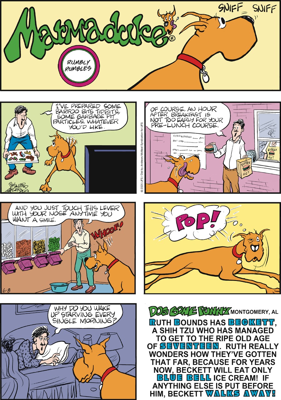 Marmaduke by Brad Anderson on Sun, 08 Jun 2025