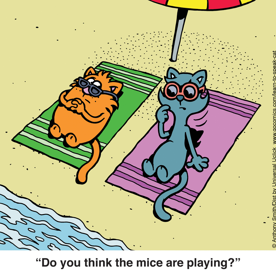 Learn to Speak Cat by Anthony Smith on Mon, 09 Jun 2025