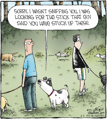 Speed Bump by Dave Coverly on Thu, 05 Jun 2025