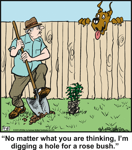 Marmaduke by Brad Anderson
