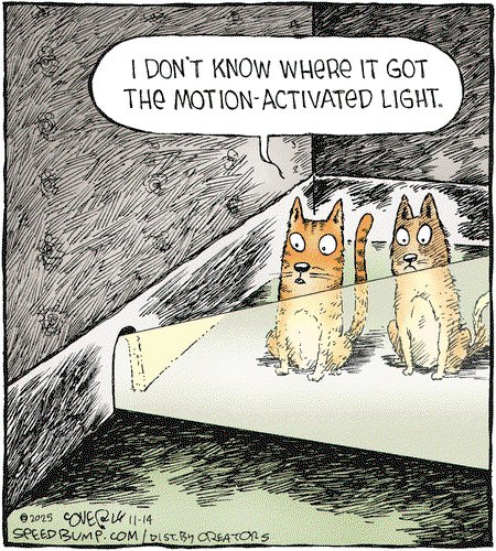 Speed Bump by Dave Coverly
 
	