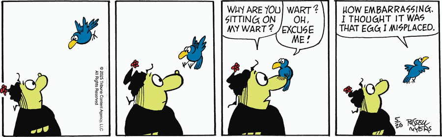 Broom Hilda by Russell Myers on Mon, 26 May 2025