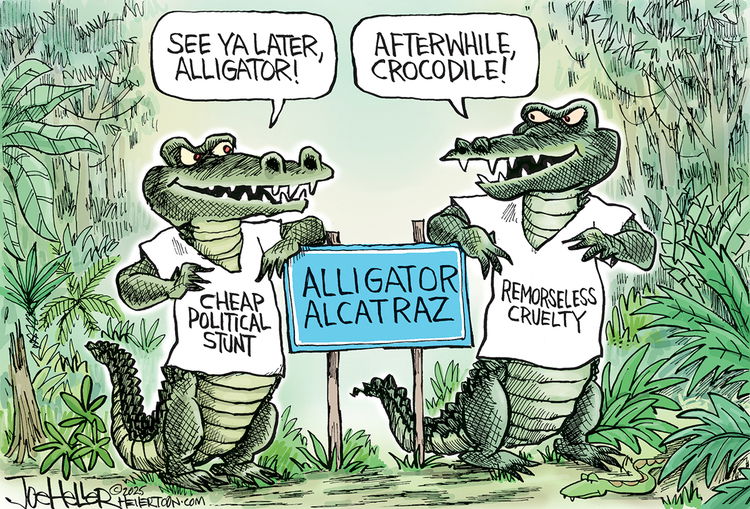 Think Toon by Joe Heller
 
	