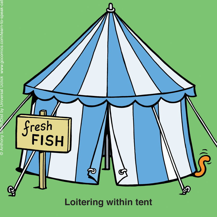 Learn to Speak Cat by Anthony Smith on Wed, 11 Jun 2025