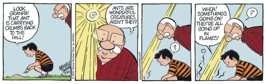 Ben by Daniel Shelton on Fri, 23 May 2025