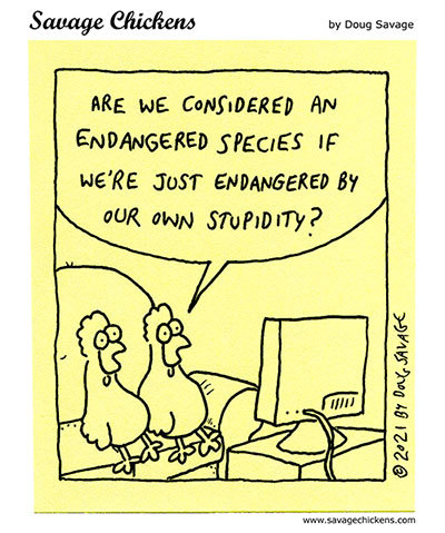 Savage Chickens by Doug Savage on Tue, 27 May 2025
