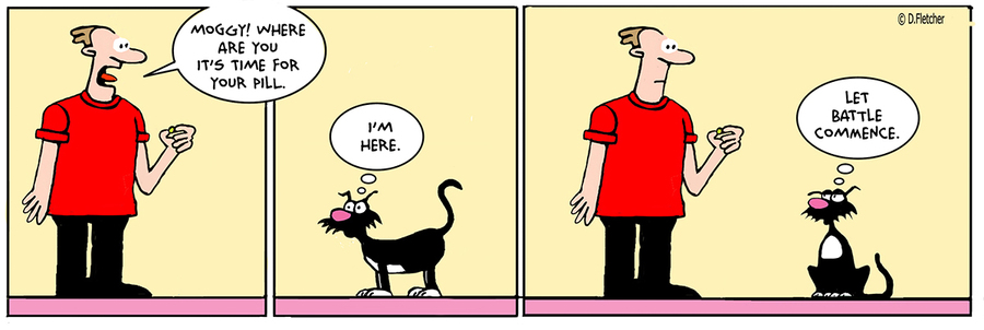 Crumb by David Fletcher on Wed, 28 May 2025