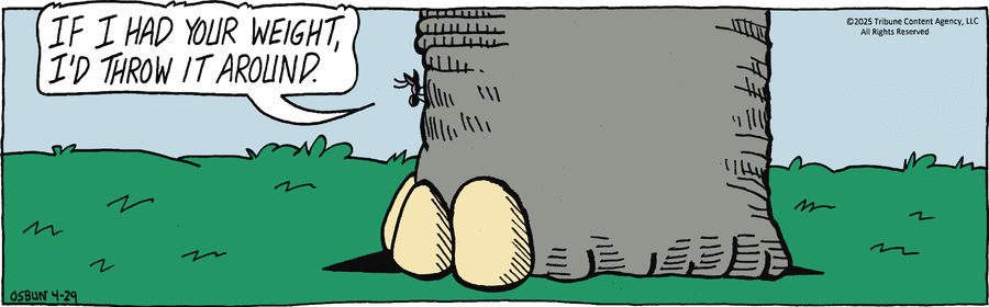 Animal Crackers by Mike Osbun on Tue, 29 Apr 2025