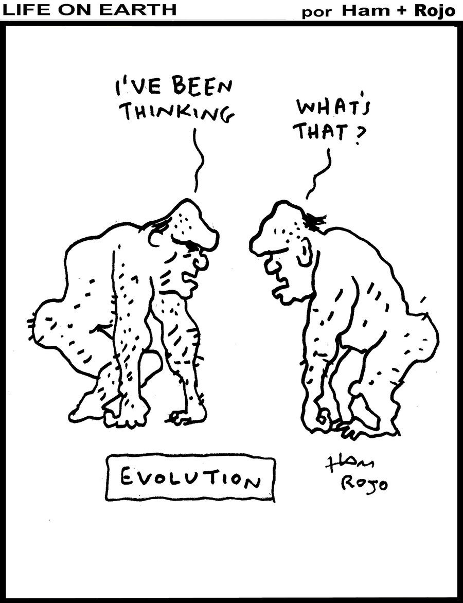 Life on Earth by Ham on Tue, 10 Jun 2025