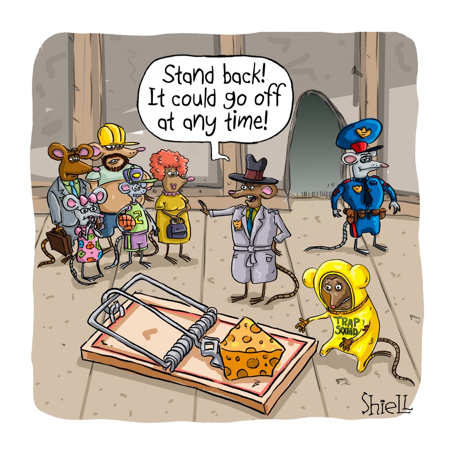 The Wandering Melon by Mike Shiell on Sun, 08 Jun 2025