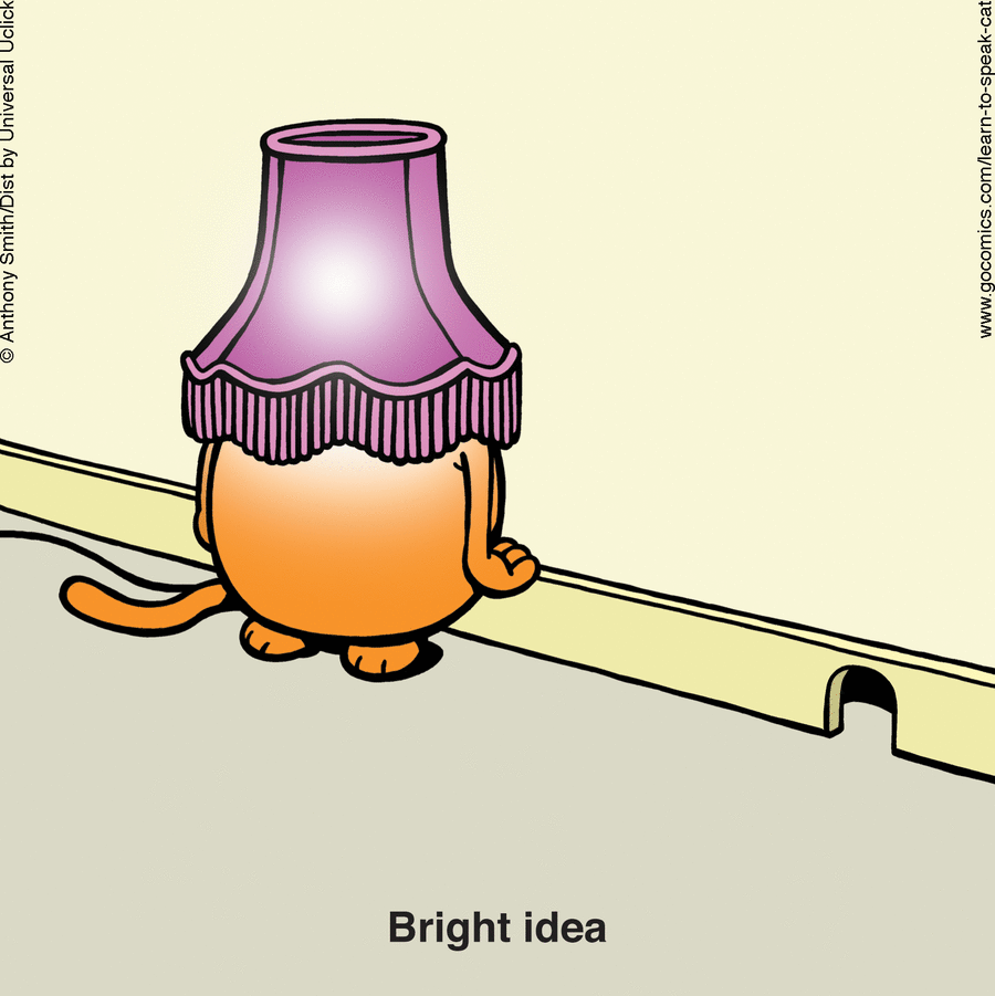 Learn to Speak Cat by Anthony Smith on Sat, 14 Jun 2025