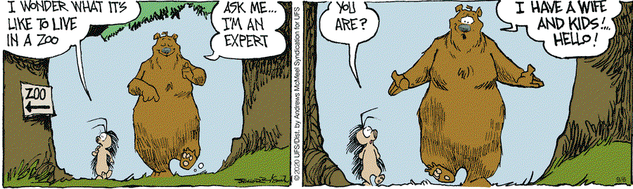 0d34574064c5013eb0a6005056a9545d