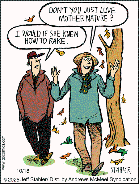Think Toon by Jeff Stahler

	