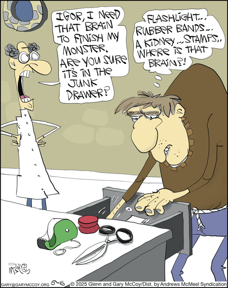 The Flying McCoys by Gary McCoy and Glenn McCoy on Tue, 06 May 2025