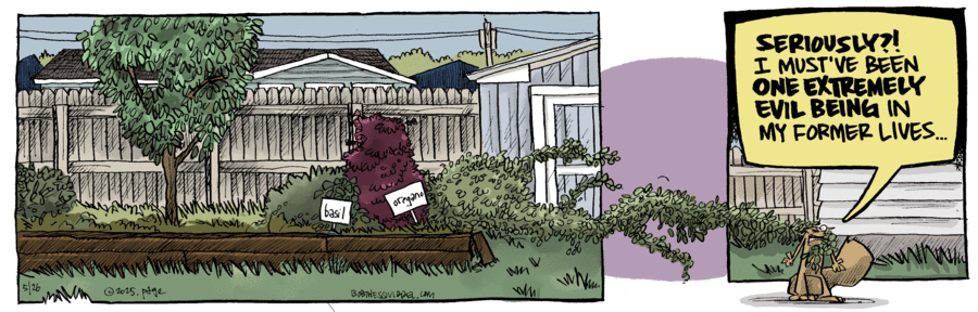 Bob the Squirrel by Frank Page on Mon, 26 May 2025