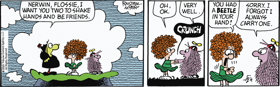 Broom Hilda by Russell Myers on Thu, 29 May 2025