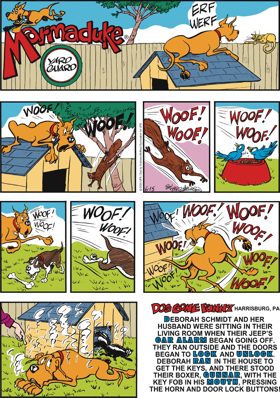 Marmaduke by Brad Anderson on Sun, 15 Jun 2025