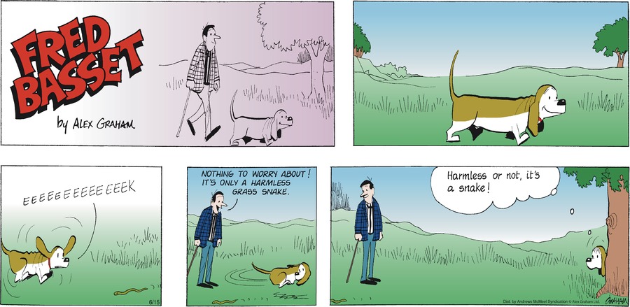 Fred Basset by Alex Graham on Sun, 15 Jun 2025