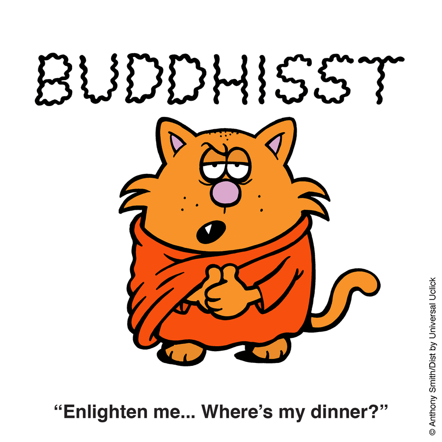 Learn to Speak Cat by Anthony Smith on Wed, 18 Jun 2025