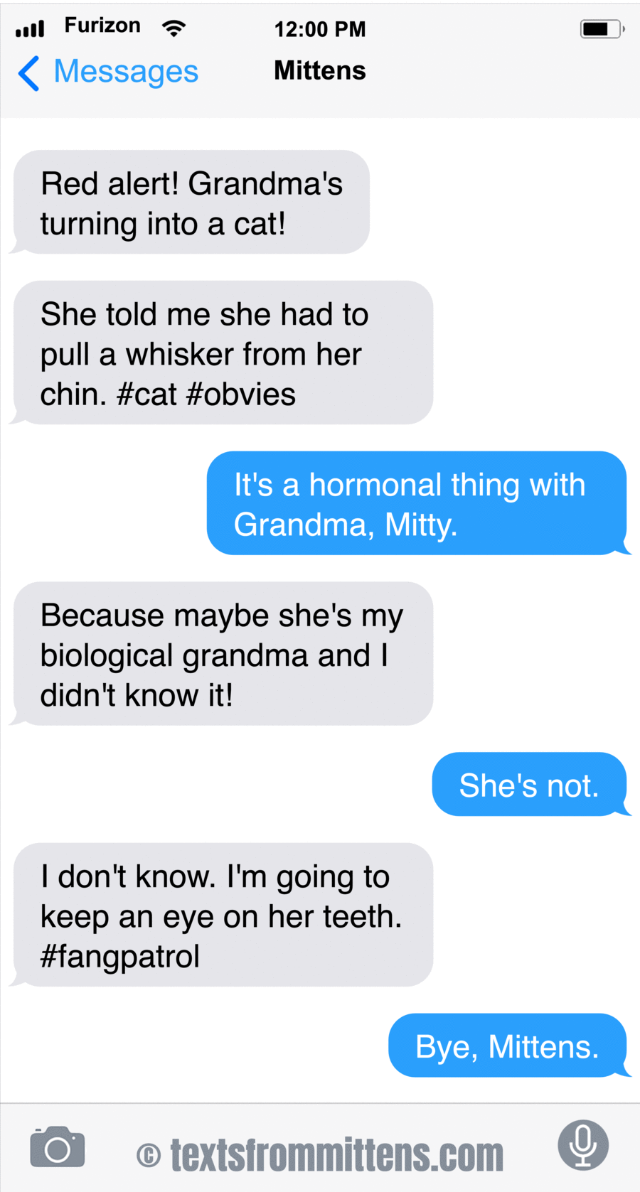 Texts From Mittens by Angie Bailey on Thu, 29 May 2025