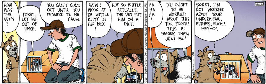 Get Fuzzy by Darby Conley on Tue, 10 Jun 2025