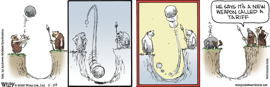 Non Sequitur by Wiley Miller on Thu, 29 May 2025