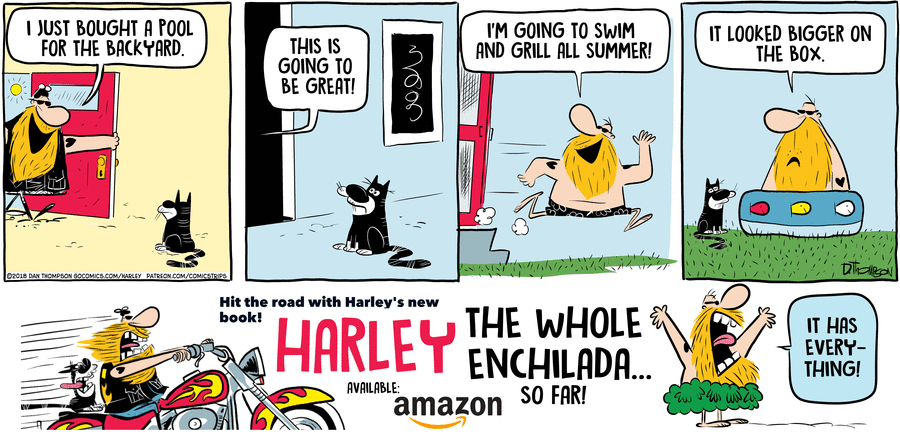 Harley by Dan Thompson on Sat, 24 May 2025