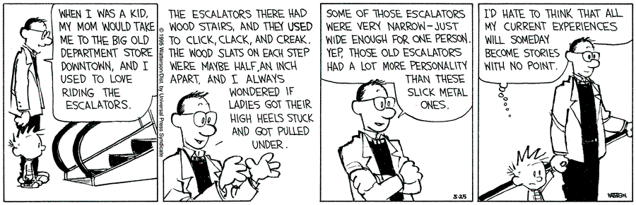 Calvin and Hobbes by Bill Watterson for May 25, 1995 | GoComics