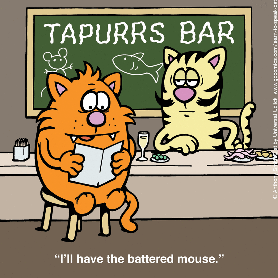 Learn to Speak Cat by Anthony Smith on Sat, 21 Jun 2025