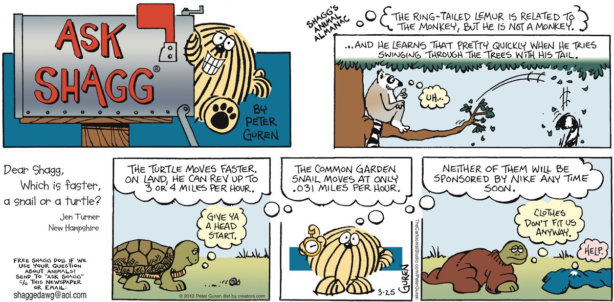 Ask Shagg by Peter Guren on Sun, 25 May 2025