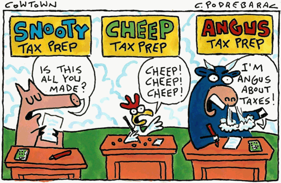 CowTown by Charlie Podrebarac on Fri, 04 Apr 2025