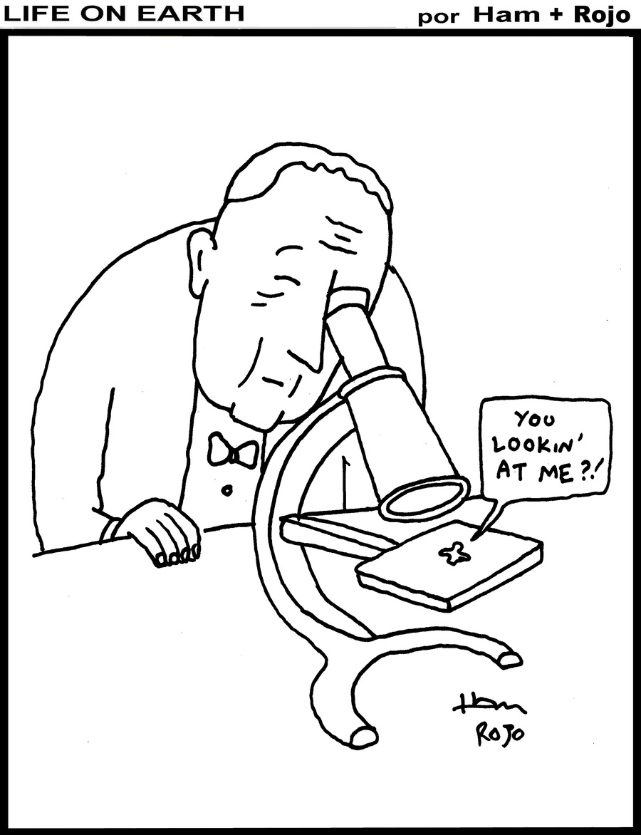 Life on Earth by Ham on Wed, 18 Jun 2025