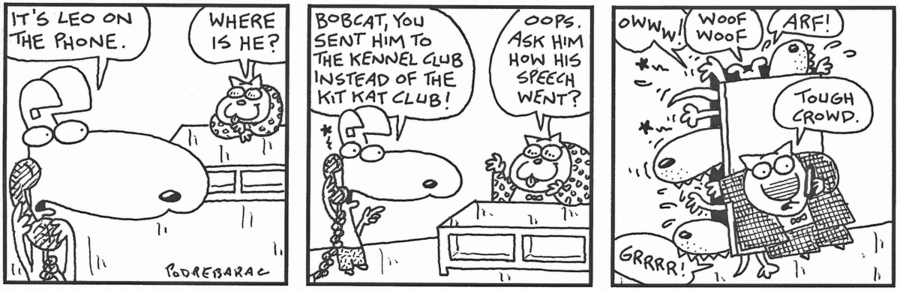 Fat Cats by Charlie Podrebarac