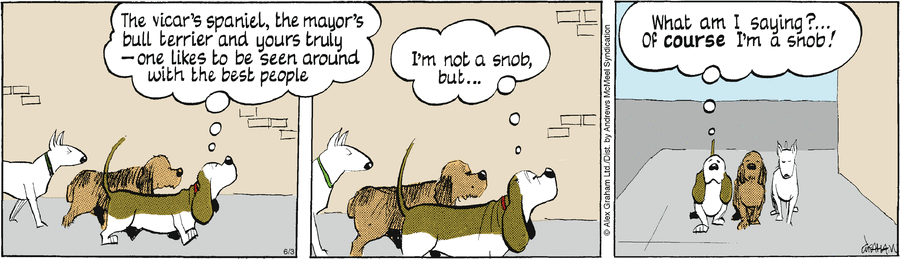 Fred Basset by Alex Graham on Tue, 03 Jun 2025