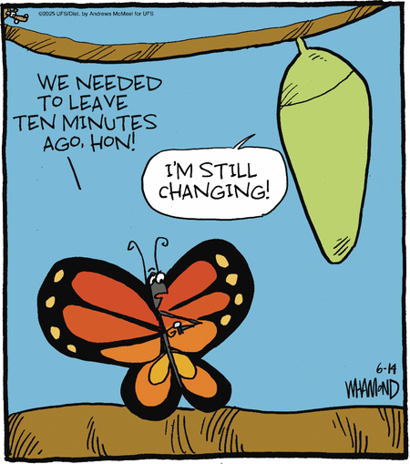 Reality Check by Dave Whamond  on Sat, 14 Jun 2025