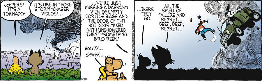 Over the Hedge by Michael Fry and T Lewis on Tue, 10 Jun 2025