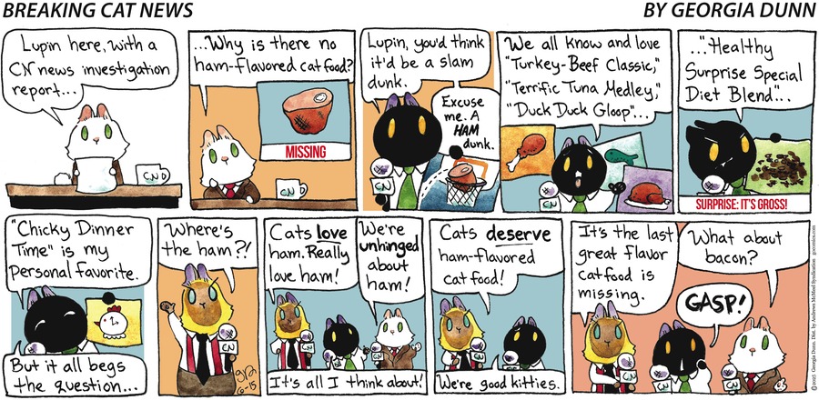 Breaking Cat News by Georgia Dunn on Sun, 15 Jun 2025