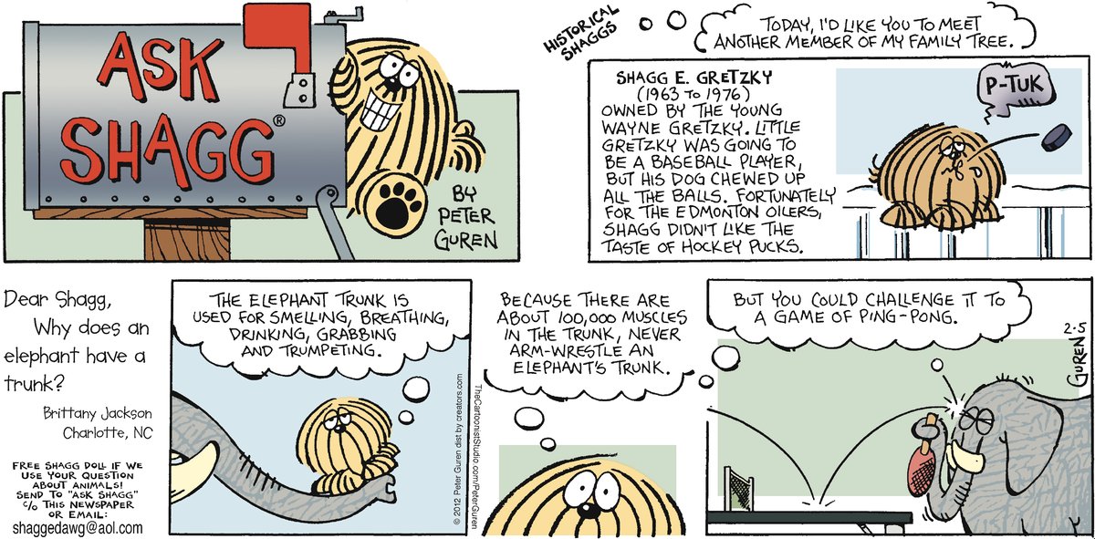 Ask Shagg by Peter Guren on Mon, 28 Apr 2025
