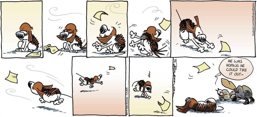Little Dog Lost by Steve Boreman  on Sun, 04 May 2025
