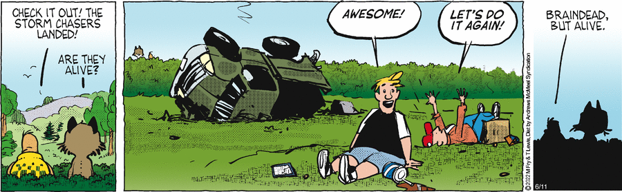 Over the Hedge by Michael Fry and T Lewis on Wed, 11 Jun 2025