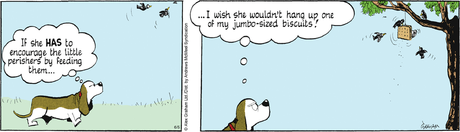 Fred Basset by Alex Graham on Thu, 05 Jun 2025