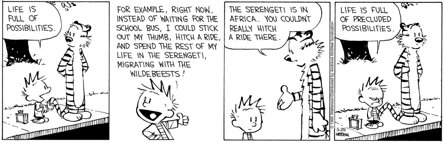 Calvin and Hobbes by Bill Watterson on Thu, 29 May 2025