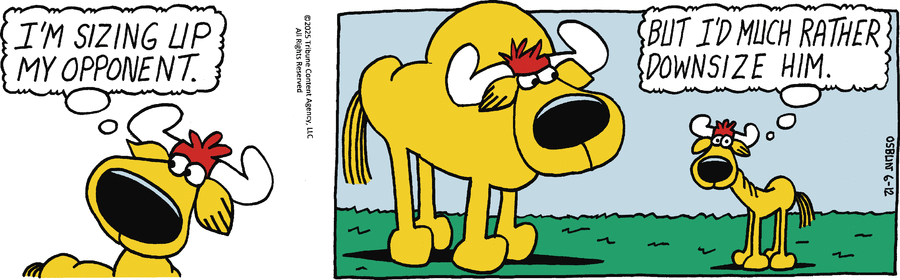 Animal Crackers by Mike Osbun on Thu, 12 Jun 2025