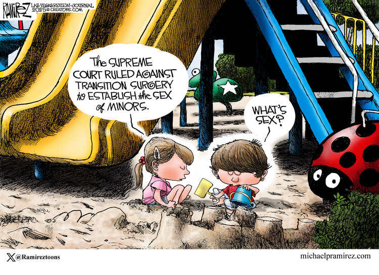 Michael Ramirez by Michael Ramirez