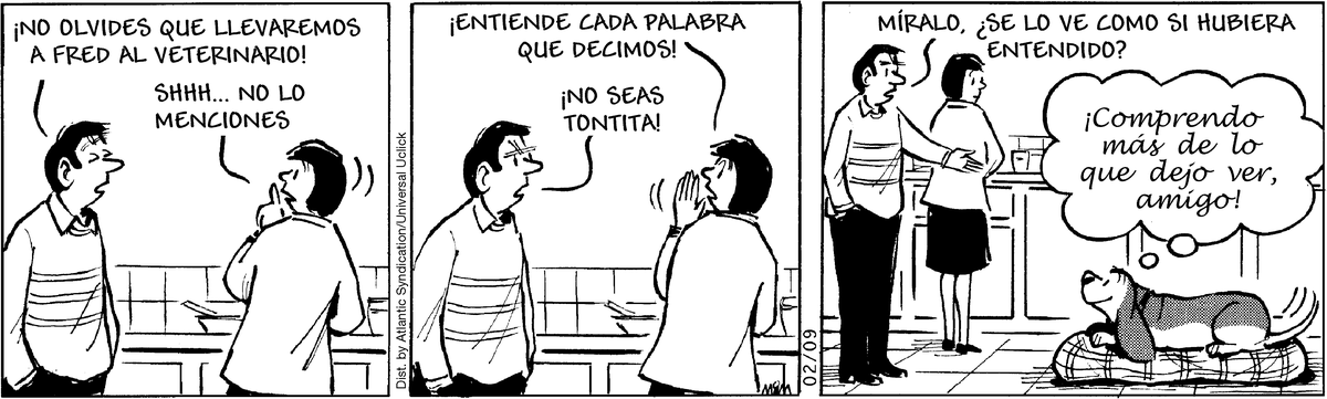 Fred Basset en Español by Alex Graham on Fri, 23 May 2025