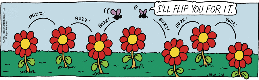 Animal Crackers by Mike Osbun on Mon, 02 Jun 2025