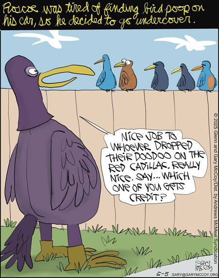 The Flying McCoys by Gary McCoy and Glenn McCoy on Mon, 05 May 2025