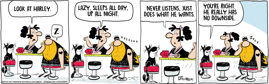 Harley by Dan Thompson on Wed, 02 Apr 2025